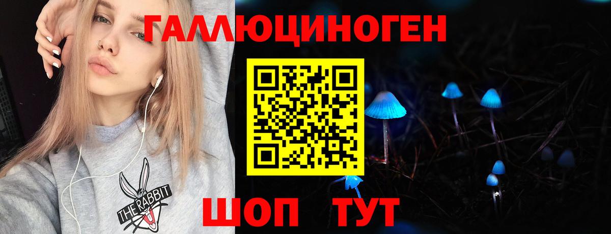 Псилоцибиновые грибы Cubensis  Вход с VPN  Аксай  Галлюциногенные грибы Psilocybe 